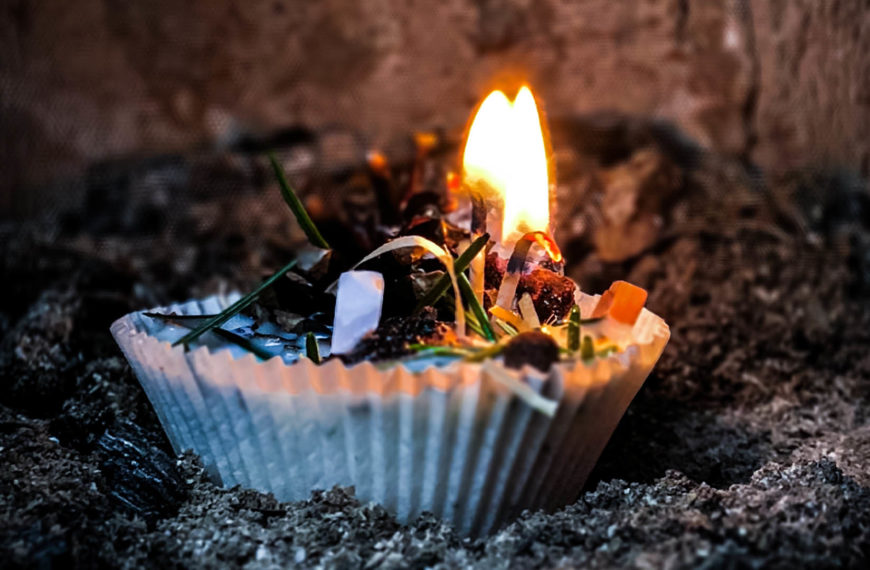 ekologicky podpalovac zo sojoveho vosku